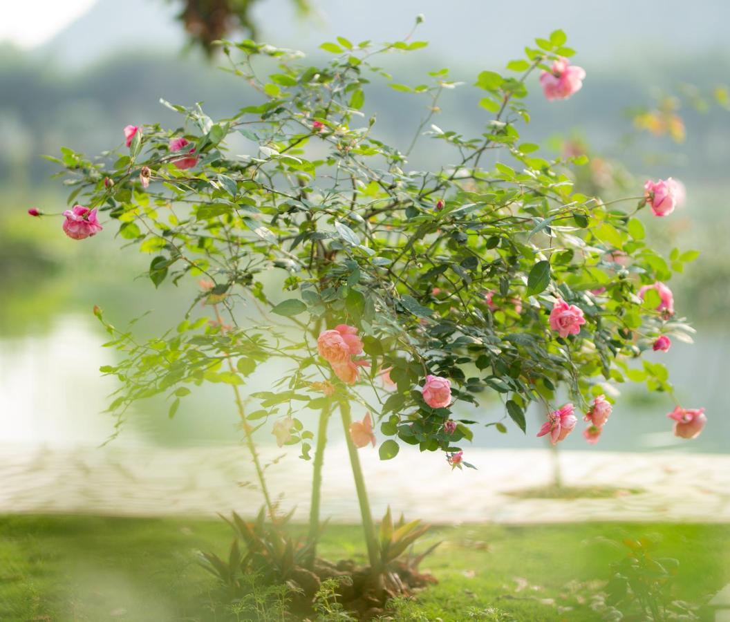 Serena Riverside Homestay - Trang An Ninh Binh Exterior foto
